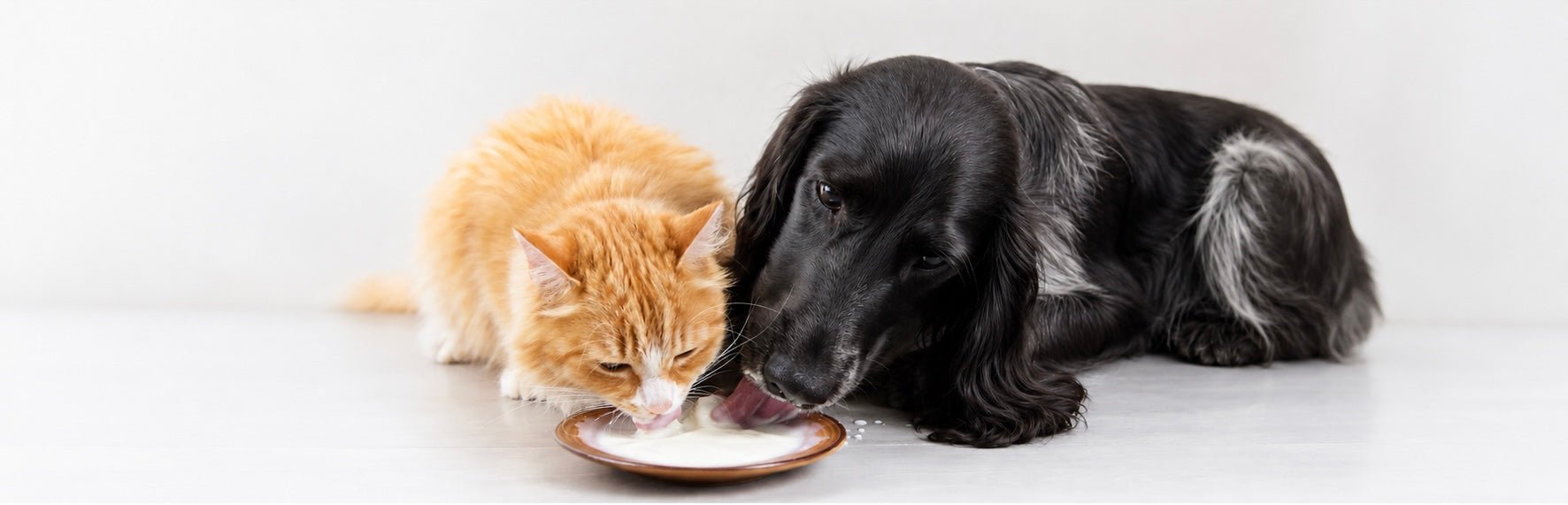 Sesitive Diet Hjort - Vet Concept